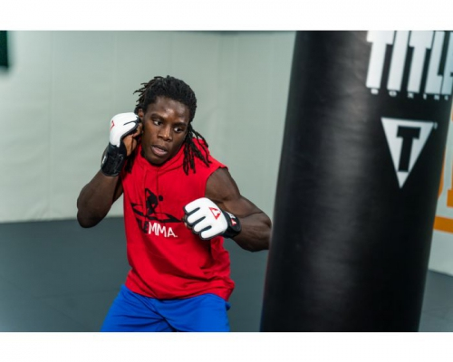 Рукавички Title MMA Pro Training Gloves White Black купити