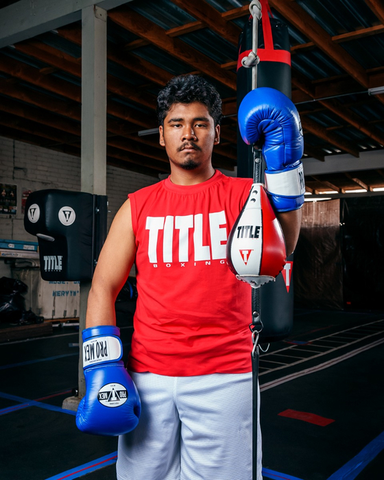 Снарядные перчатки Pro Mex Professional Bag Gloves V3.0 Blue где купить