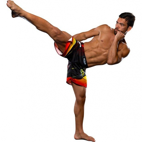 Шорты MMA Venum Lyoto Machida Tatsu King Fightshorts Харьков